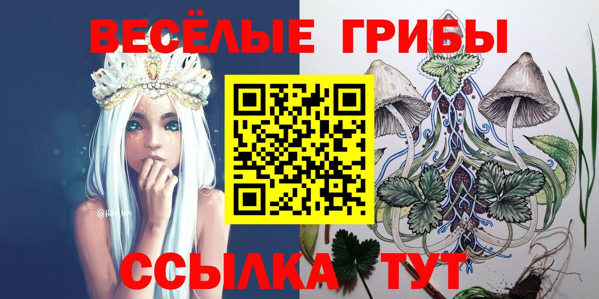 Псилоцибиновые грибы Cubensis Псков